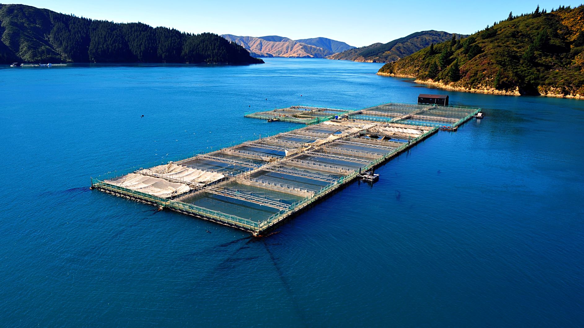 Marine Farm 2