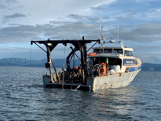 Soundz Image Anchoring