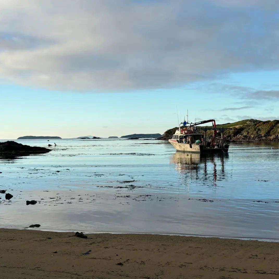 A boat floats near the shore in calm, shallow water, with rocky islands and a cloudy sky in the background.