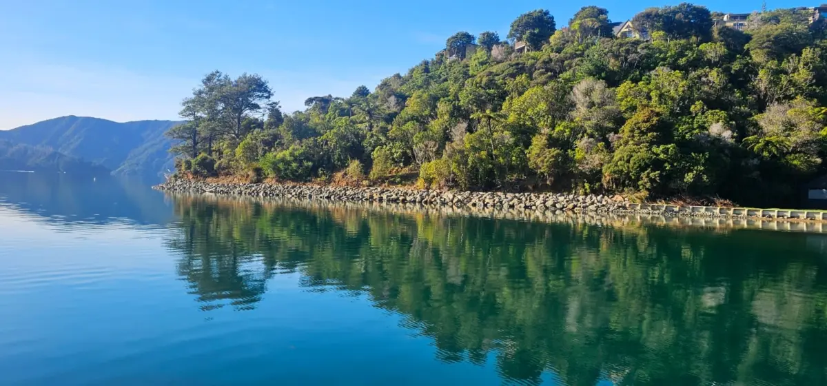 A calm body of water reflects a tree-covered hillside under a clear blue sky, with a rock-lined shore visible along the right side.