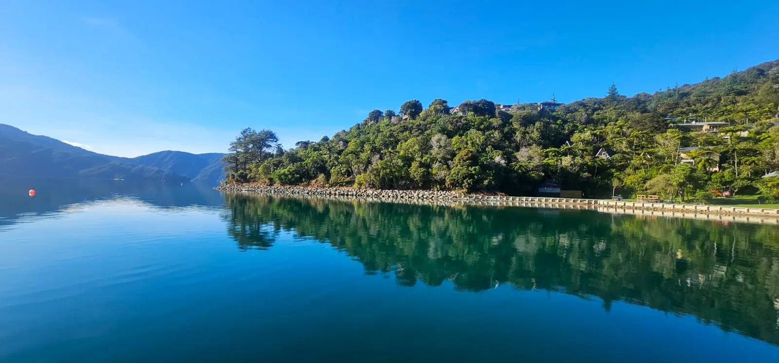A calm lake reflects a tree-covered hillside under a clear blue sky, with a paved road running along the shoreline.