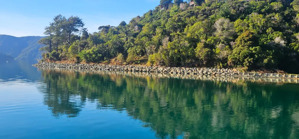 A calm body of water reflects a rocky shoreline and dense green trees under a clear blue sky.