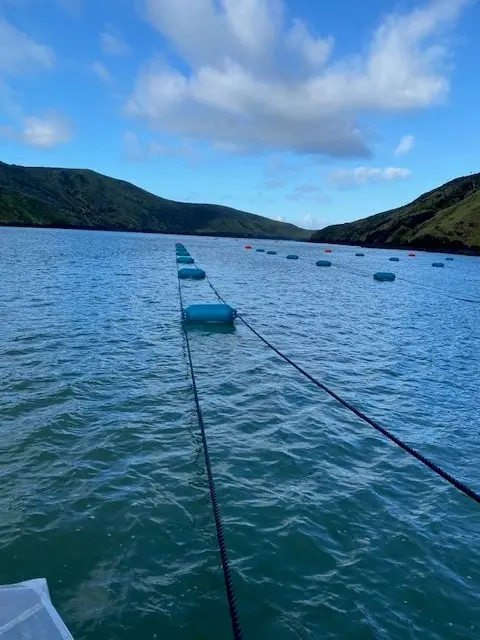 A line of blue floating platforms connected by ropes stretches across a calm body of water, with hills and a partly cloudy sky in the background.