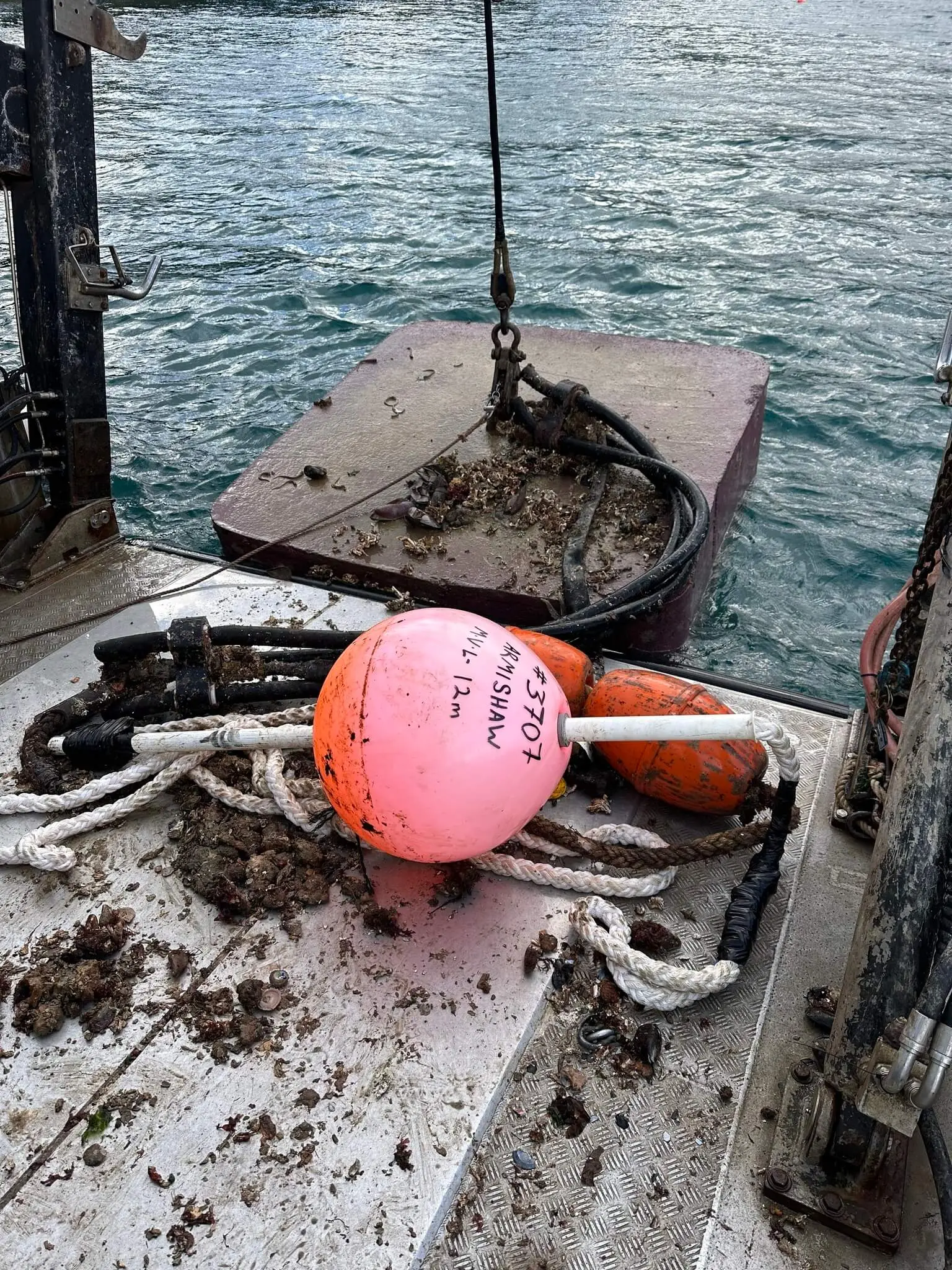 A boat deck with ropes, a muddy anchor, and two buoys—one orange and one pink—marked with text, with water and a dock visible in the background.