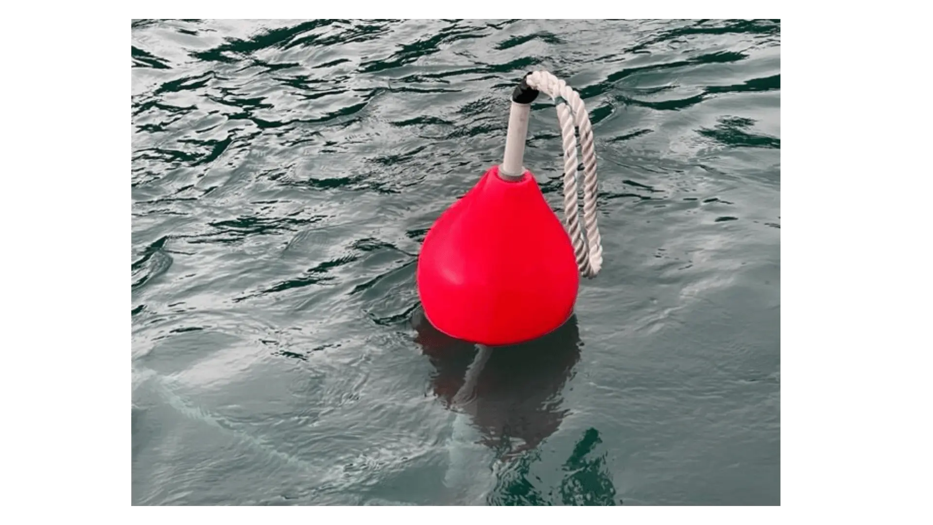 A bright red buoy with a rope attached floats on rippling water.